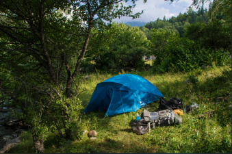 10 Must-Master Camping Skills: Survive, Thrive, and Conquer the Great Outdoors